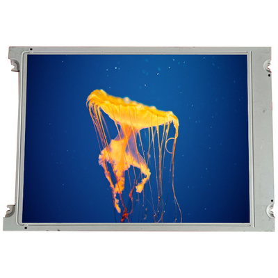 Bom preço SX16H005-ZZA 6.2 polegadas 640*240 painel de tela LCD para industrial on-line