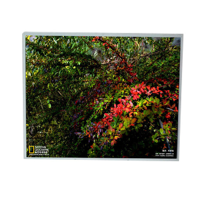 Bom preço LM201U1-A3 20,1 polegadas 1600*1200 módulos de painel LCD on-line