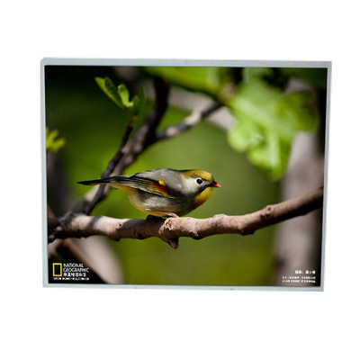 Bom preço LM201U1-A3M1 20,1 polegadas 1600*1200 Ecrã LCD on-line