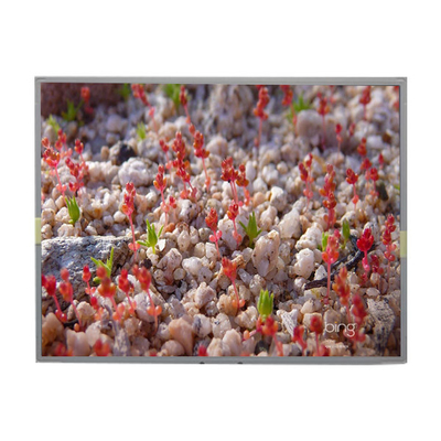 Bom preço LM201W01-A6K2 20,1 polegadas painel LCD 1680 * 1050 LCD Display on-line