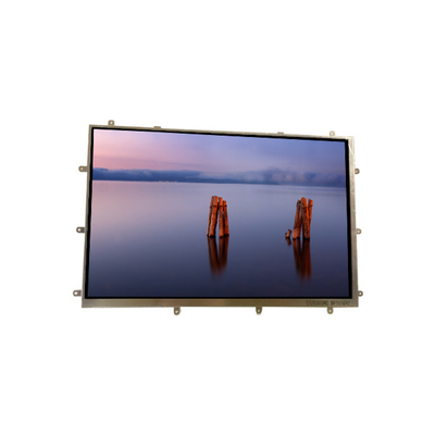 Bom preço BP101WX1-205 10,1 polegadas tela LCD MODULO LCD PANEL Para Tablet on-line