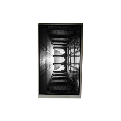 Bom preço BS055FHE-L30-6Q01 5.5 polegadas LCD Display LCD painel de tela para telefone móvel on-line