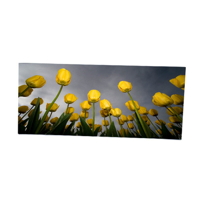 Bom preço LM340WW2-SSD1 Display LCD de 34,0 polegadas 2560*1080 on-line