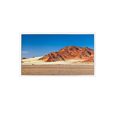 Bom preço DV490QUB-P20 tela LCD de 49 polegadas 3840*2160 on-line