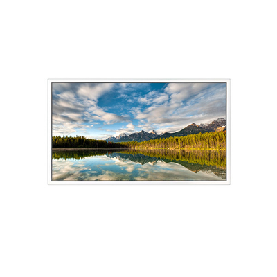 Bom preço Ecrã LCD de 55 polegadas DV550FHB-N30 1920*1080 PARA Display Transparente on-line