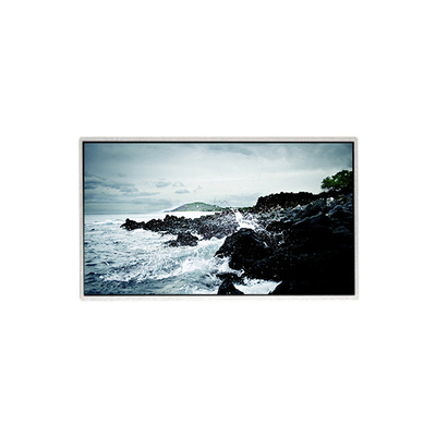 Bom preço 1366*768 HF236WHB-F20 Painel de exibição LCD de 23,6 polegadas on-line