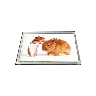Bom preço LM170E03-TLG6 17,0 polegadas 16,7M módulo de painel LCD on-line