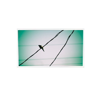Bom preço TDA104-001V01 10,4 polegadas 1024*768 1000:1 LVDS LCD Panel Display para Indústria on-line
