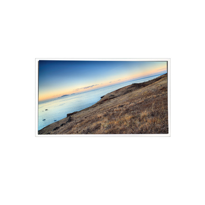 Bom preço MV185WHM-N10 18,5 polegadas 1366*768 16,7M 99%sRGB painel LCD para Industrial on-line