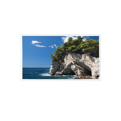 Bom preço TV101WXM-NM1 800*1280 10,1 polegadas 39 pinos 8S4PWLED painel LCD on-line