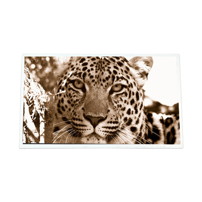 Bom preço 7.0 polegadas GT070WVM-N12 800*480 WLED 600:1 LCD Panel Module on-line