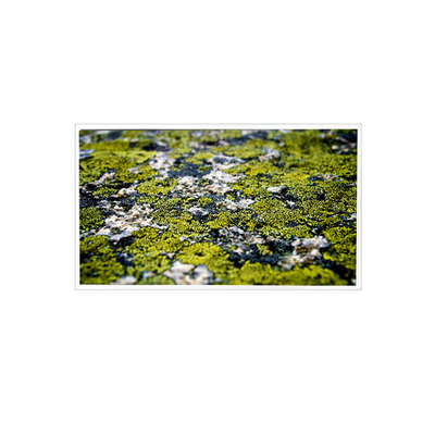 Bom preço 10.4 polegadas RV104X0M-N00 1024 * 768 tela LCD para Industrial on-line