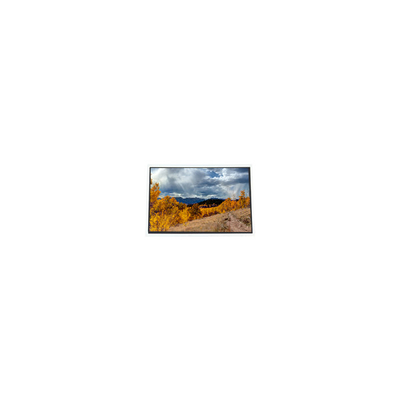 Bom preço A070STN01.1 1024*600 7,0 polegadas 60Hz tela LCD para UMPC MID on-line