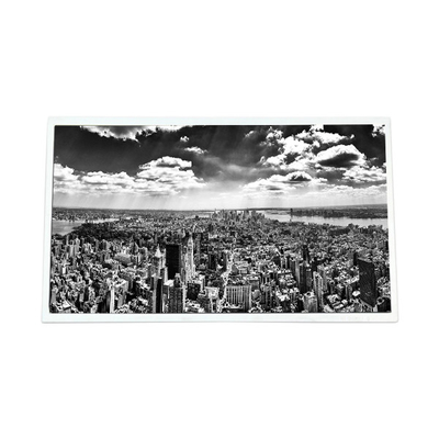 Bom preço 22.0 polegadas G220SW01 V1 1680*1050 2000:1 LVDS LCD Display on-line