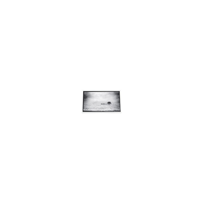 Bom preço 640*480 3,5 polegadas PD035VX1 262K LCD Screen para Projector on-line