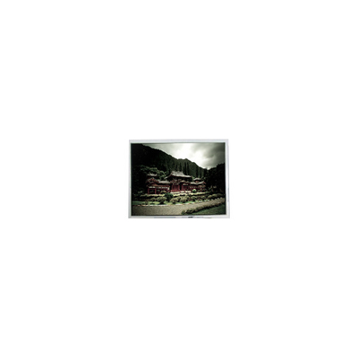 Bom preço 480*640 PD050VX4 5,0 polegadas 262K 400: 1 painel de tela LCD on-line