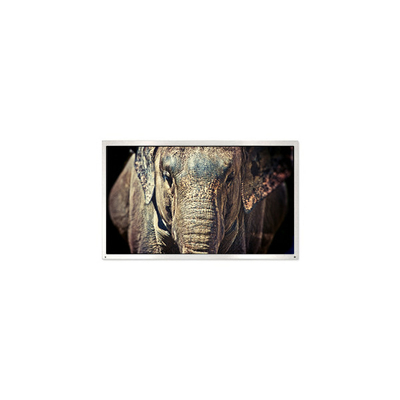 Bom preço PE040QX1 MiNi 4,0 polegadas 320*240 1000:1 30 pinos Painel de tela LCD on-line