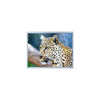 Bom preço 400*234 tela LCD de 6,5 polegadas PW065XS4 para quadro de foto digital on-line