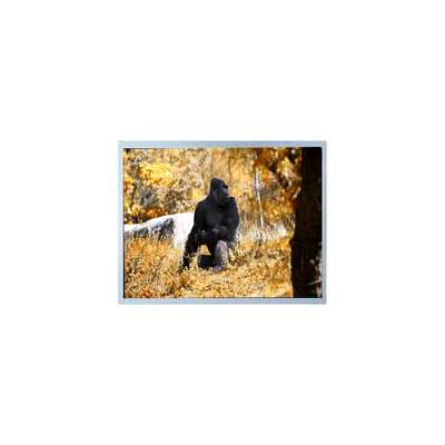 Bom preço Painel de ecrã LCD original de 7,0 polegadas 800 * 480 PW070WX2 on-line