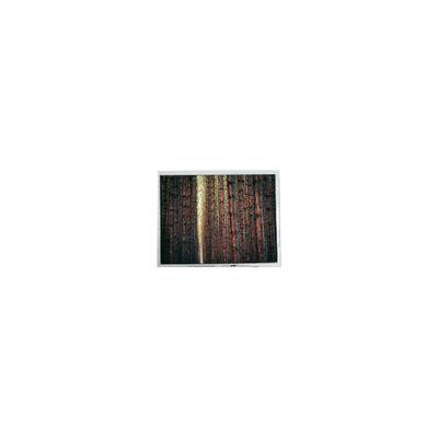 Bom preço Ecrã LCD original de 5,7 polegadas 640*480 AM-640480G2TNQW-W0H 500 cd/m2 on-line