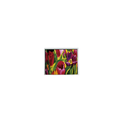 Bom preço AM-800480LATMQW-TN0H-L 800*480 5,0 polegadas 3S6P painel LCD WLED on-line