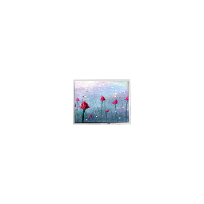 Bom preço AM-800480LTMQW-TW1H 5,0 polegadas 800*480 Touch LCD Panel Display Screen on-line