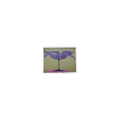 Bom preço 800*480 5,0 polegadas AM-800480LTMQW-W0H 470 cd/m2 LCD Monitor de Painel on-line