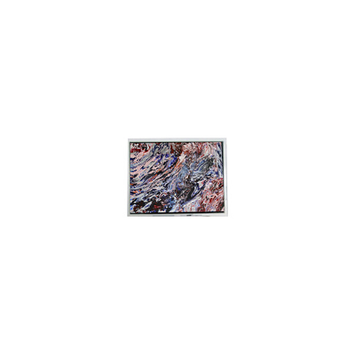 Bom preço MiNi 5,0 polegadas 800*480 AM-800480N3TZQW-70H 16,7M Painel LCD on-line