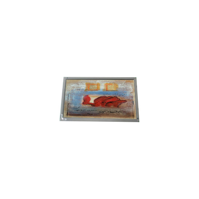 Bom preço Hot Sell 800*480 AM-800480S5LMQW-00 7,0 polegadas 1000: 1 painel LCD on-line