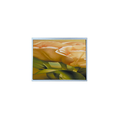 Bom preço AM-1024600Y3TZQW-A0H 9.0 polegadas TFT LCD Screen Panel Industrial on-line
