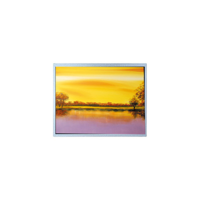 Bom preço 1024*768 AM-1024768J2TZQW-T00H 8,0 polegadas TFT PCAP LCD on-line