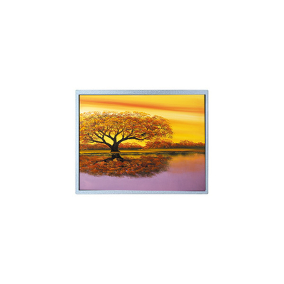 Bom preço AM-1024768J3TRQW-A0 1024*768 8.0 polegadas painel de exibição TFT LCD on-line