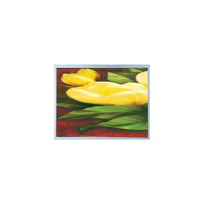 Bom preço Hot Sell 12,1 polegadas AM-1024768R2TNQW-T00H 1024*768 TFT tela LCD on-line