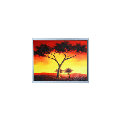 Bom preço AM-1024768Z6TZQW-00H 1024*768 12,1 polegadas 1300 cd/m2 TFT LCD on-line