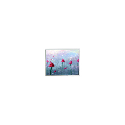 Bom preço 5.2 polegadas DMF5005N-SEW-ABE-CP 240 * 64 70Hz LCD Display on-line