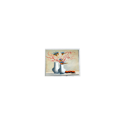Bom preço NOVO módulo de exibição de tela LCD de 5,2 polegadas DMF5010NB-FW-BC 400 cd/m2 on-line
