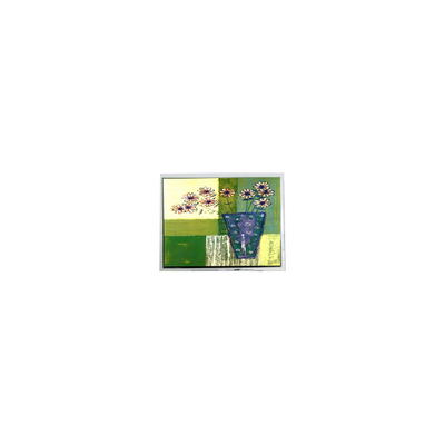 Bom preço 240*64 5,2 polegadas DMF5010NBU-FW-BD 20 pinos Painel LCD on-line