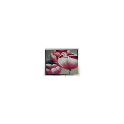 Bom preço Painel LCD de 70 Hz de 5,2 polegadas on-line