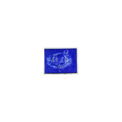 Bom preço Original 640*480 DMF50260NFU-FW-21 9,4 polegadas 70Hz painel de tela LCD on-line