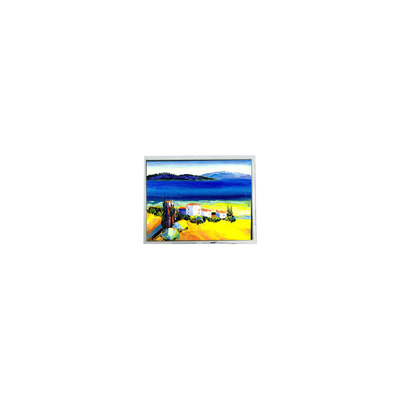 Bom preço Venda Quente 5,4 polegadas DMF50773NF-FW 240 * 128 22 pinos tela LCD on-line