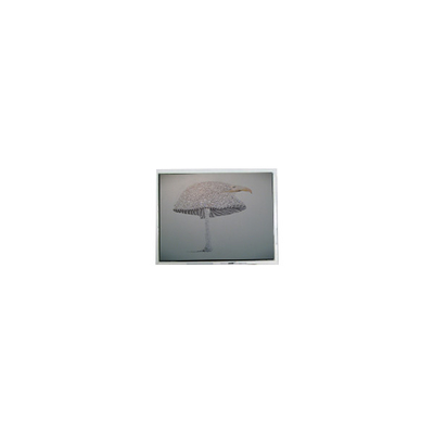 Bom preço 9.4 polegadas DMF-51043NFU-FW 640*480 LCD painel on-line