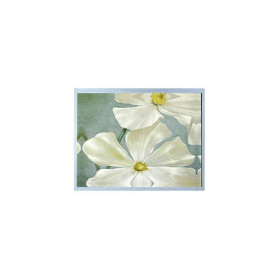 Bom preço F-51851GNFQJ-LW-AAN 240*64 5.2 polegadas 72 pinos painel de exibição LCD on-line