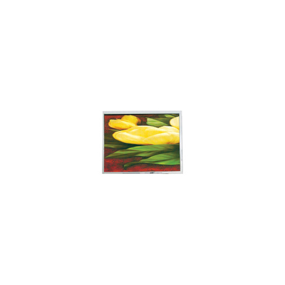 Bom preço NOVA 5,7 polegadas T-55265GD057J-LW-ABN 320 * 240 33 pinos tela LCD on-line