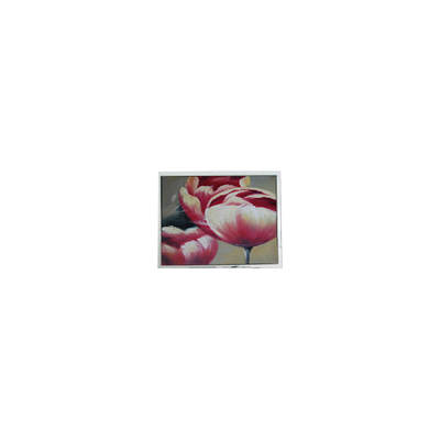 Bom preço NOVO T-55548GD057JU-LW-AAN 5,7 polegadas 262K LCD Screen Parts on-line