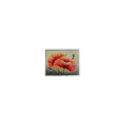 Bom preço T-55548GD057JU-LW-ACN 5,7 polegadas painel de ecrã LCD on-line