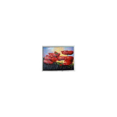 Bom preço Venda Quente 6,5 polegadas 640*480 T-55629D065J-LW-A-ABN Ecrã LCD Painel de Display on-line