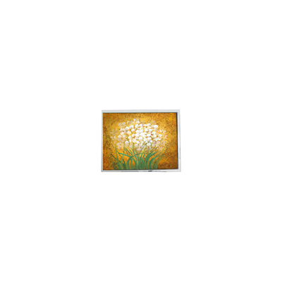 Bom preço 19.0 polegadas T-55699D190J-LW-A-AAN painel LCD para exterior de alta luminosidade on-line