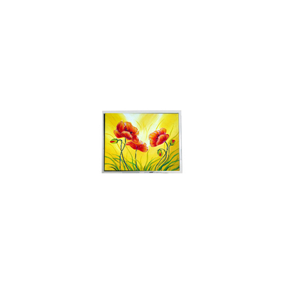 Bom preço 800*480 T-55711D080J-LW-A-AAN 8,0 polegadas 1000 cd/m2 LCD on-line