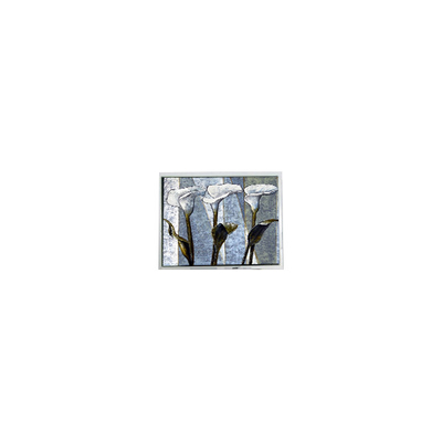 Bom preço 800*480 T-55785GD070J-LW-ADN 7.0 polegadas 262K LCD Display on-line