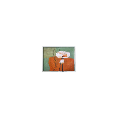 Bom preço 10.4 polegadas T-55787GD104J-LW-AHN LCD Screen FOR Outdoor High Brightness on-line